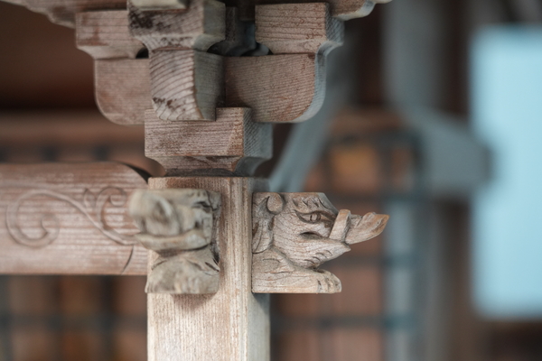 ソニー「α7Ⅴ」実写レビュー