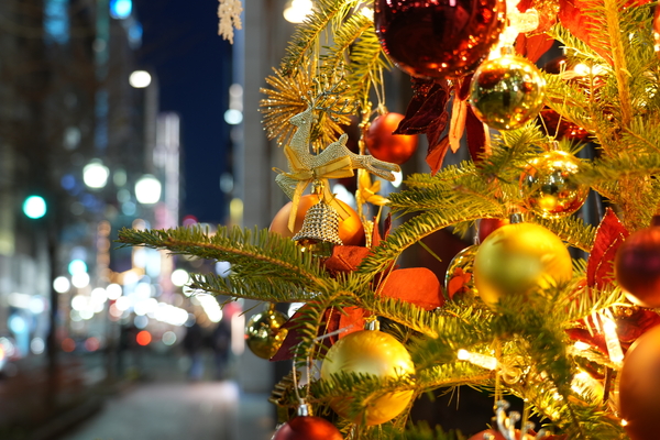 ソニー「α7Ⅴ」実写レビュー