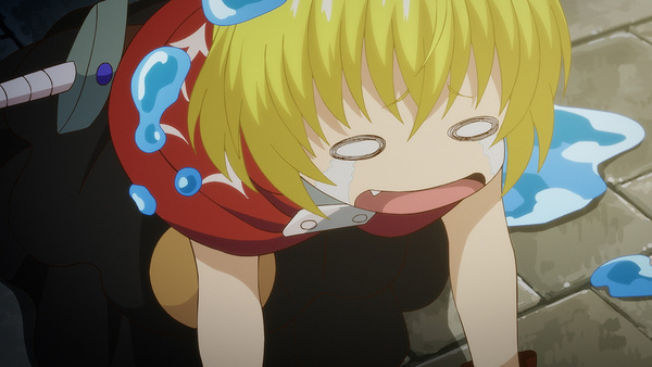 『29歳独身中堅冒険者の日常』