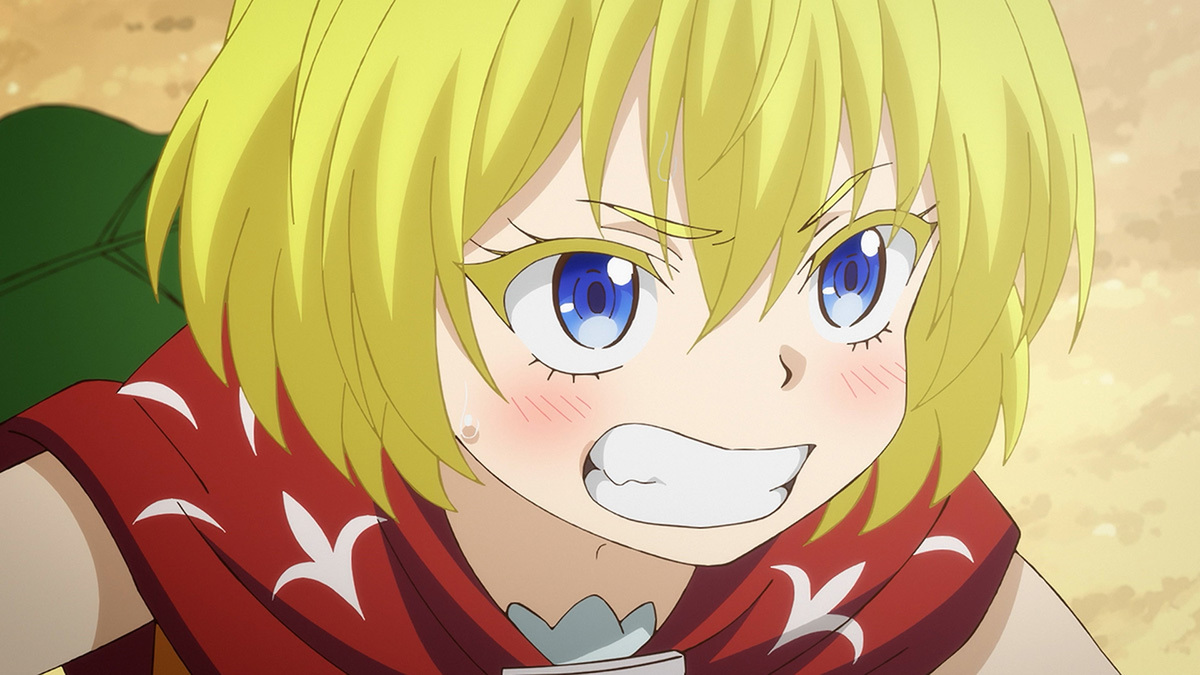 『29歳独身中堅冒険者の日常』