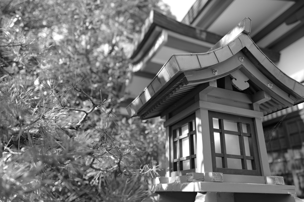 「ライカQ3モノクローム」実写レビュー