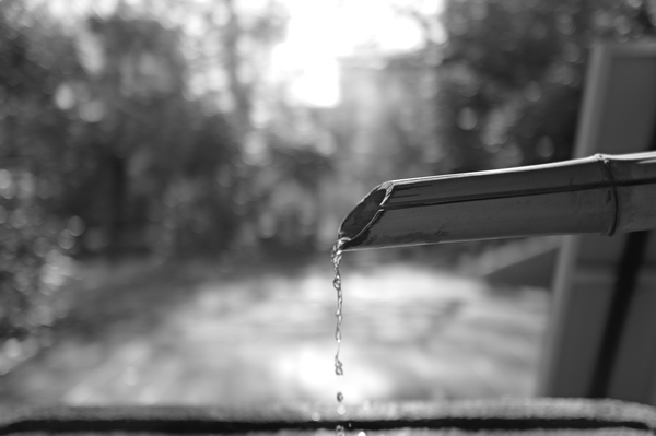 「ライカQ3モノクローム」実写レビュー