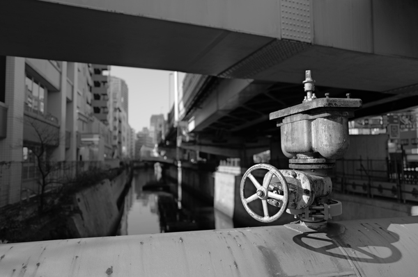 「ライカQ3モノクローム」実写レビュー