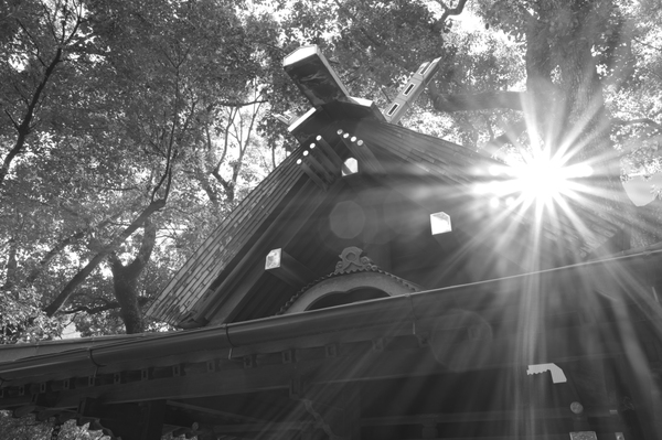 「ライカQ3モノクローム」実写レビュー