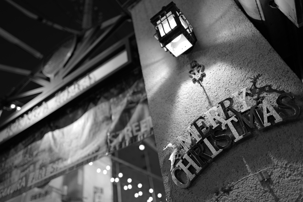 「ライカQ3モノクローム」実写レビュー