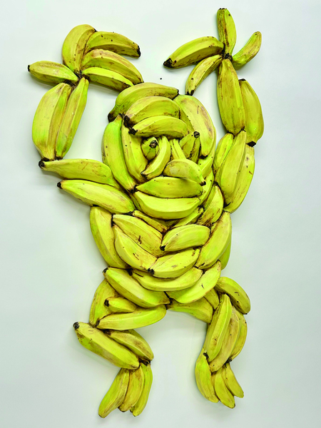 Monkey Banana 2