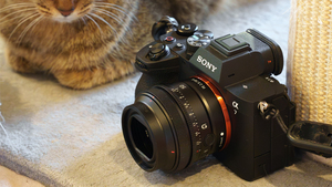 ソニー「α7 V」を渡された結果、猫しか撮らなかった。