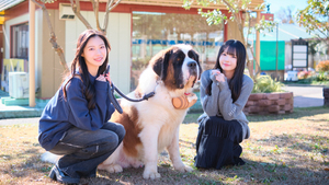 ニアジョイ・市原愛弓と村山結香がわんことにゃんこに癒され、Pasar守谷で地元の食材を使ったご飯に大満足