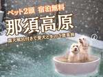 ペットと一緒に旅行に行くのが夢!那須には愛犬専用露天風呂まであって雪見風呂ができるぞー【東北自動車道 那須ICから約9km