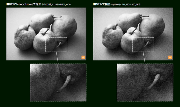 「GRIV Monochrome」発売