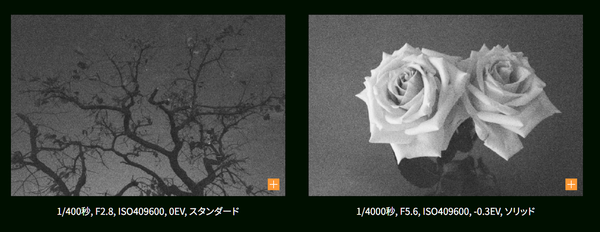 「GRIV Monochrome」発売