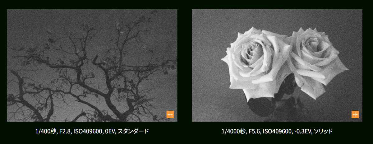 「GRIV Monochrome」発売