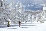 絶景の雲海と温泉ザル、スノーアクティビティを満喫