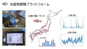 【3/3展示】魚の種類や重さなど情報をデジタル化し共有を図る、魚市場におけるスマート計量システムを開発