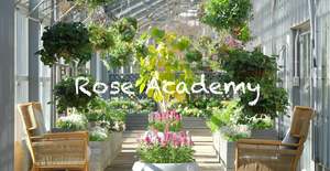 フラワーアレンジから時短料理まで学べる「ローズアカデミー」が日常生活で使えすぎる【常磐自動車道 土浦北ICから約12km