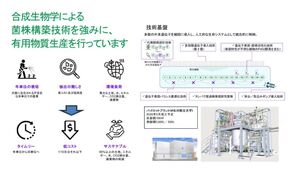 【3/3展示】合成生物学を用いた菌株設計・構築の技術で、天然由来の複雑な希少成分の高効率生産を行う