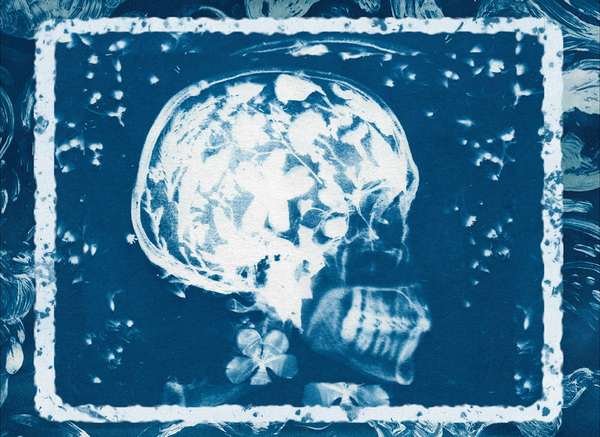 『オリビアと雲』