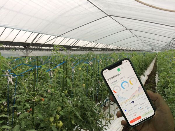 【3/3展示】既設設備に接続しハウス内の監視・制御を遠隔からスマホで実行、ハウス農家向けIoTシステムを提供