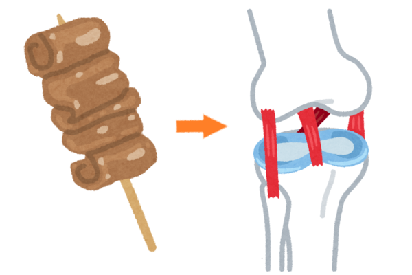 「牛すじ」が膝の靭帯になると聞いて。コラーゲンじゃなく、移植の話だった