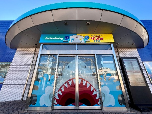 サメのすべてがわかる！サメ特化型の特別展「シーパラ サメ博2026」開催！