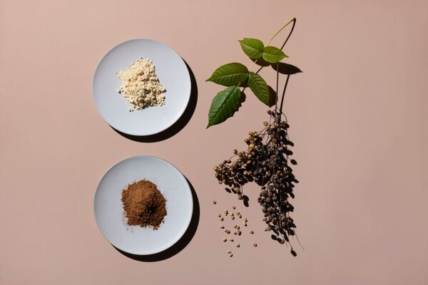 【3/3展示】古くから活用されてきた「漆」と木粉を特許技術でコンパウンドした100％天然原料「URCYL」