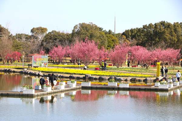 ひと足先に春が来る！国営海の中道海浜公園で「早春ハッピーフェスタ2026」開催