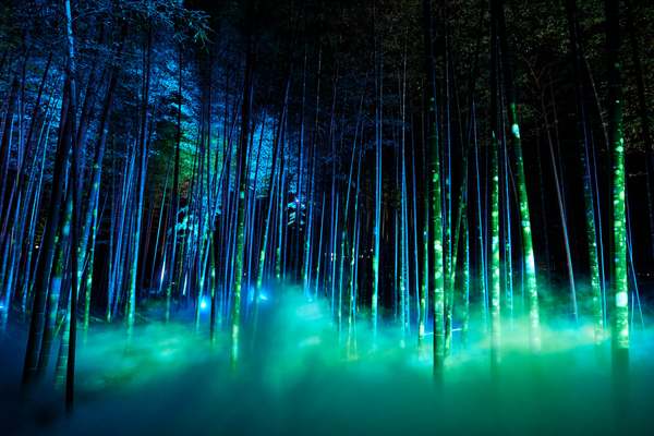 偕楽園の「陰と陽」をライトアップで表現したら幻想的すぎる風景になった【常磐自動車道 水戸ICから約7km】