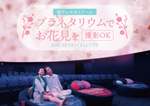 プラネタリウムでお花見!? 本編上映前に見渡す限り桜が咲き誇る「桜ウェルカムドーム」は撮影もOK