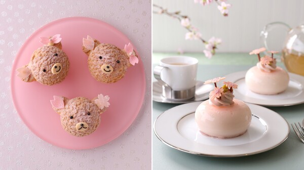 桜リボンのクマさんシュー可愛すぎ問題。テーブルに置いただけで部屋の空気が「春」、食べると頭の中も「春」に