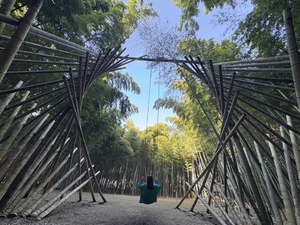 石造りの神域、銀幕の竹林、ジャズとカクテルの夜─餃子食べて帰るだけなんてもったいない！【宇都宮市の旅#2─観光編】