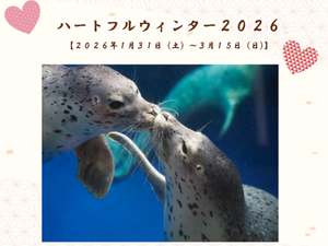 海のいきものたちは見ているだけで癒やされる♡上越市立水族博物館で心温まる冬イベント開催中【北陸自動車道 上越ICから約5km】