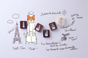 あげるのも食べるのももったいない！ずっと見ていたい可愛いネコデザインのショコラ