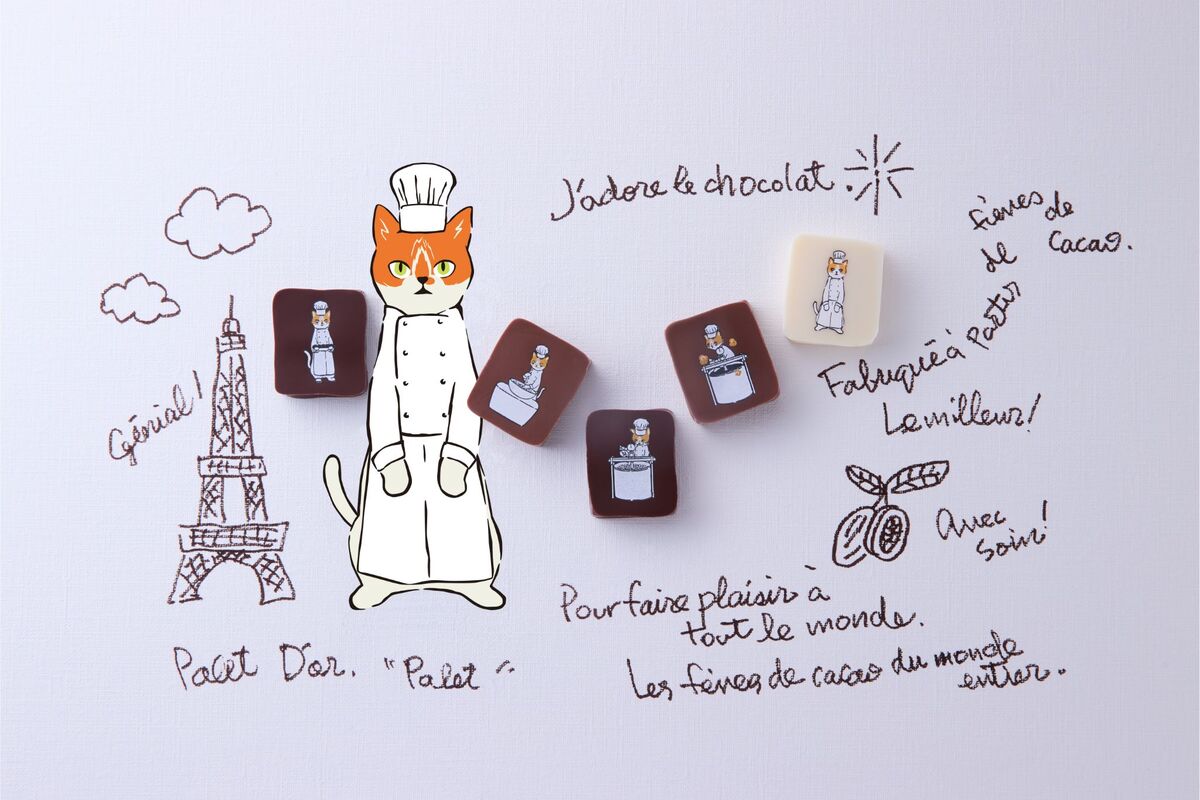 「ショコラティエ パレドオール」の「コフレ シャトン エディション パレ」