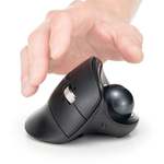 縦も横も一気にスクロール。作業効率を高めるサンワの新型トラックボール