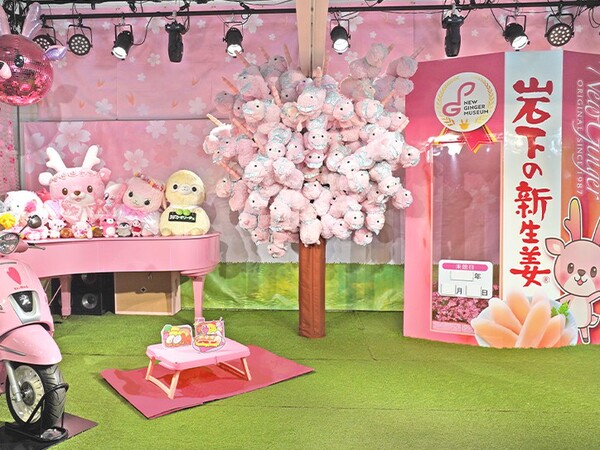 岩下の新生姜と桜の花びらって似てるな!?岩下の新生姜ミュージアムと桜イベントがベストマッチ【東北自動車道 栃木ICから5km】