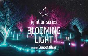 ライトアップされた秋間梅林でナイトウォーク！専用ランタンの特別演出もすてき【上信越自動車道 松井田妙義ICから約10.5km】