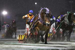 「推し騎手」のサイン色紙をプレゼント!?ばんえい競馬を堪能するならホテル日航ノースランド帯広の限定宿泊プランを利用するしかない【道東自動車道 音更帯広ICから約9km】