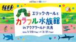 アクアワールド・大洗で「はらぺこあおむし」顔負けのカラフルな生き物たちを見まくろう【東水戸道路 水戸大洗ICから約7km】