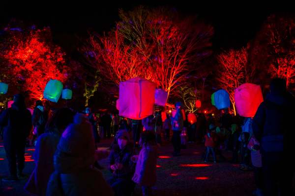 道明寺天満宮が光に包まれる「藤井寺カルチャーナイト in 道明寺天満宮」で特別な夜を過ごす