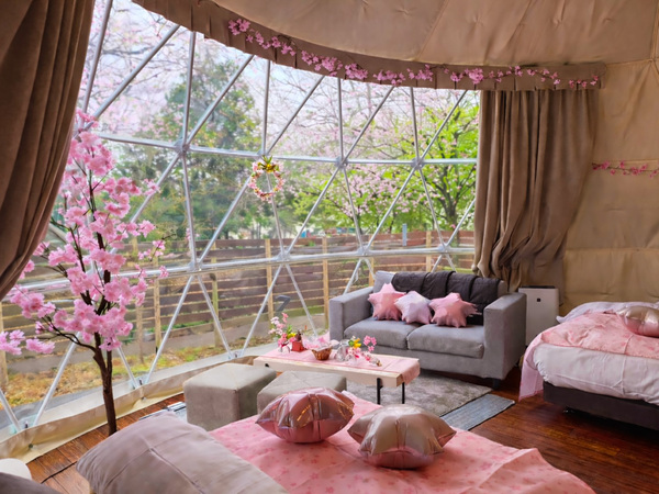 花粉知らずのインドアお花見!? 開花すればWお花見も楽しめちゃう！【日光宇都宮道路 今市ICから約6.5km】