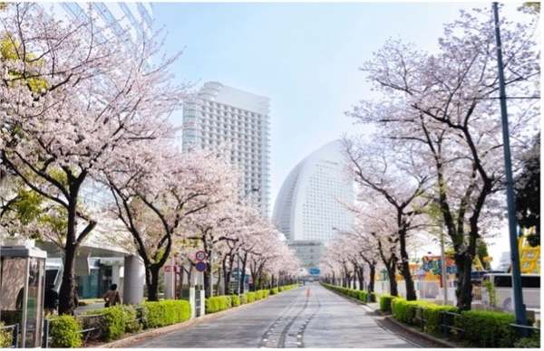 横浜の春を彩る「ガーデンネックレス横浜2026」開催決定