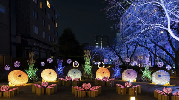 夜桜と竹あかりが競演するとこんなにきれいだって知らなかった