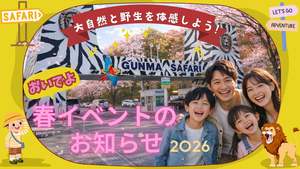 双子のホワイトタイガーが間近で見られる！春休みは群馬サファリパークで一日過ごせそう♪【上信越自動車道 富岡ICから約5km】