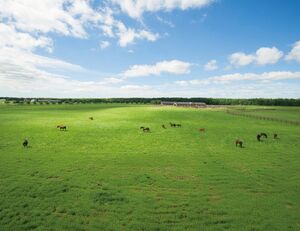 グルメも観光も注目スポットが満載！ 早春の苫小牧横断ドライブ