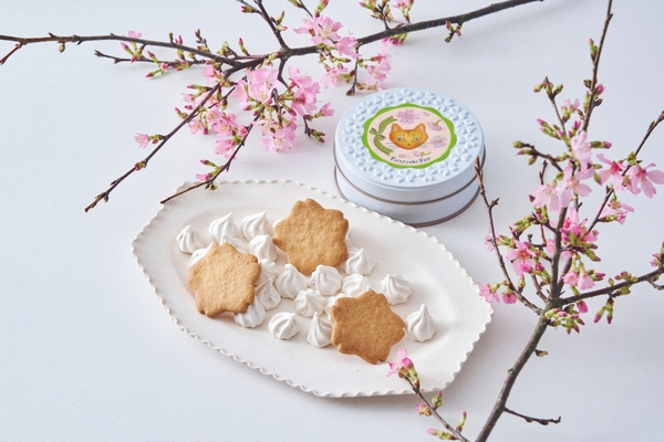 プチカドーサクラ