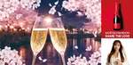 これが大人のお花見パーティ♪　桜とシャンパンとDJイベントで春パしよう