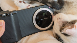 iPhone派も嫉妬する「猫撮り最強スマホ」Xiaomi 17 Ultraでジャンプもじゃれ合いもピタッと止まる！