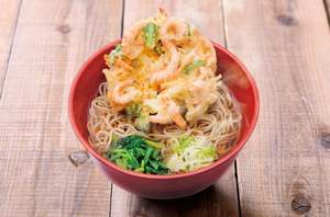 外皮入りの粗挽き粉のそばが香り高くて、これは間違いなくワンランク上の駅そば