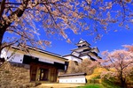 春の白河市でお城や湖と満開の桜がつくり上げる絶景にうっとり♪