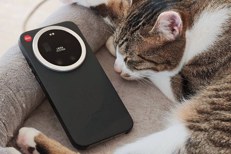 もうデジカメはいらない？ シャオミのLeitzphoneが魅せる極上の猫